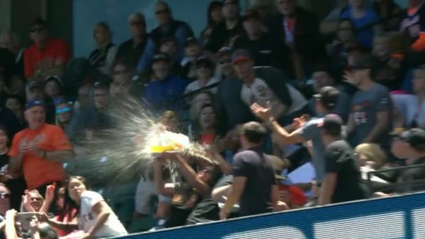 fan-beer-foul-ball-fail.png